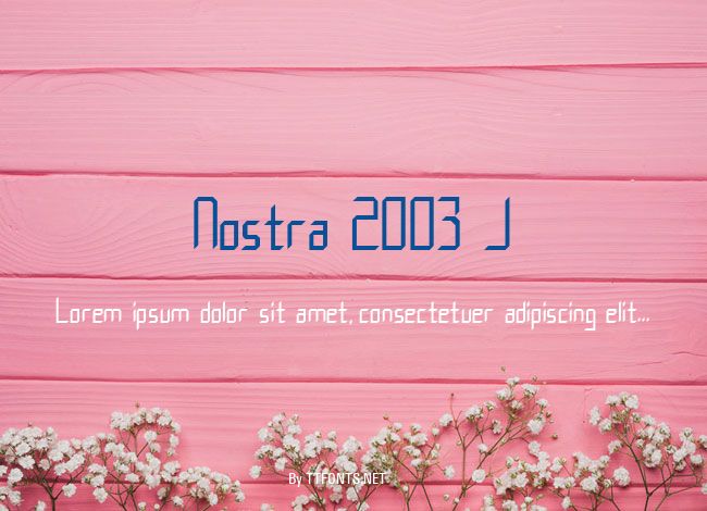 Nostra 2003 J example
